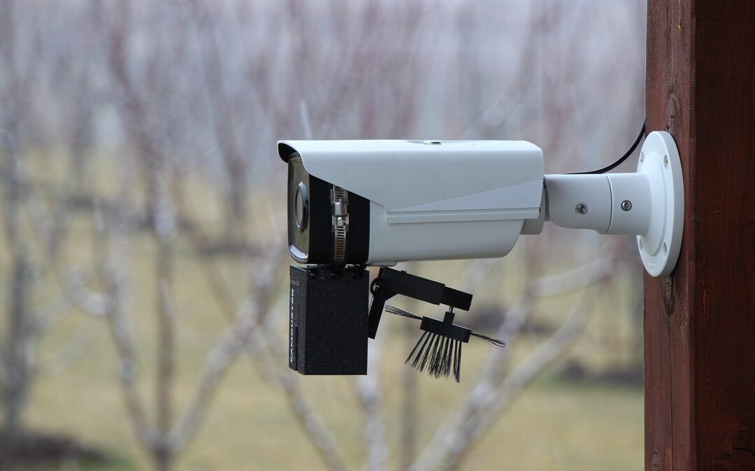 The Hidden Cost of “Free” Manual Camera Cleaning – Blog